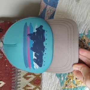 Patagonia trucker hat